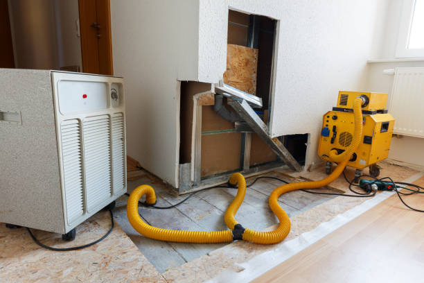 Best Dehumidification Services  in Ansted, WV